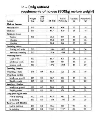 How to Calculate NSC in Horse Feed: A Delve into Nutritional Strategies for Optimal Equine Health