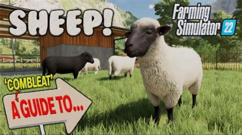 what to feed sheep fs22: Should we consider the nutritional needs of sheep in a virtual farming game?