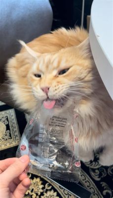 why does my cat chew on plastic bags: Unraveling the Mysterious Fascination and Potential Risks